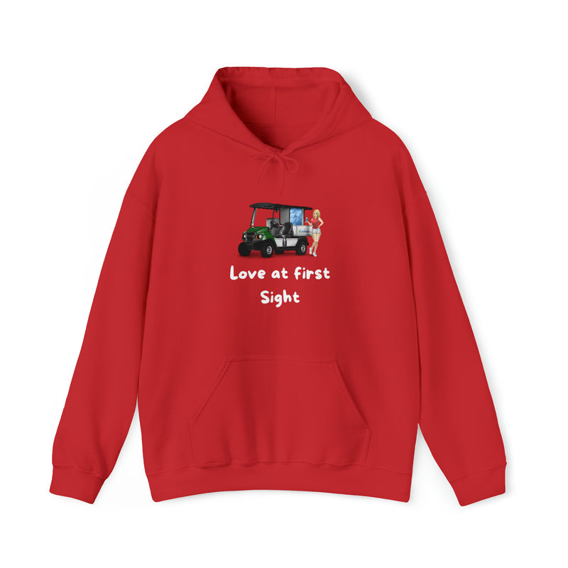 Love at first sight Unisex Heavy Blend™ Hooded Sweatshirt