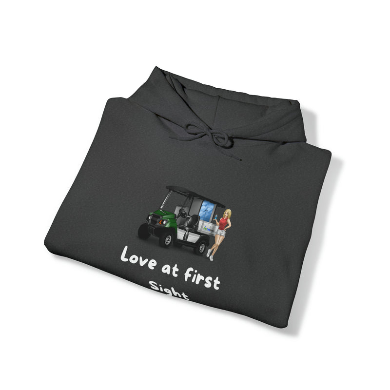 Love at first sight Unisex Heavy Blend™ Hooded Sweatshirt