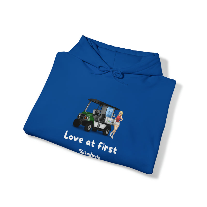 Love at first sight Unisex Heavy Blend™ Hooded Sweatshirt